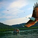 eaglefeedinglangkawi2018