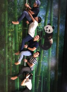 museum3Dpulaulangkawi2018