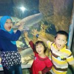 underwaterworldlangkawi2018