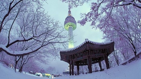 musim sejuk di korea