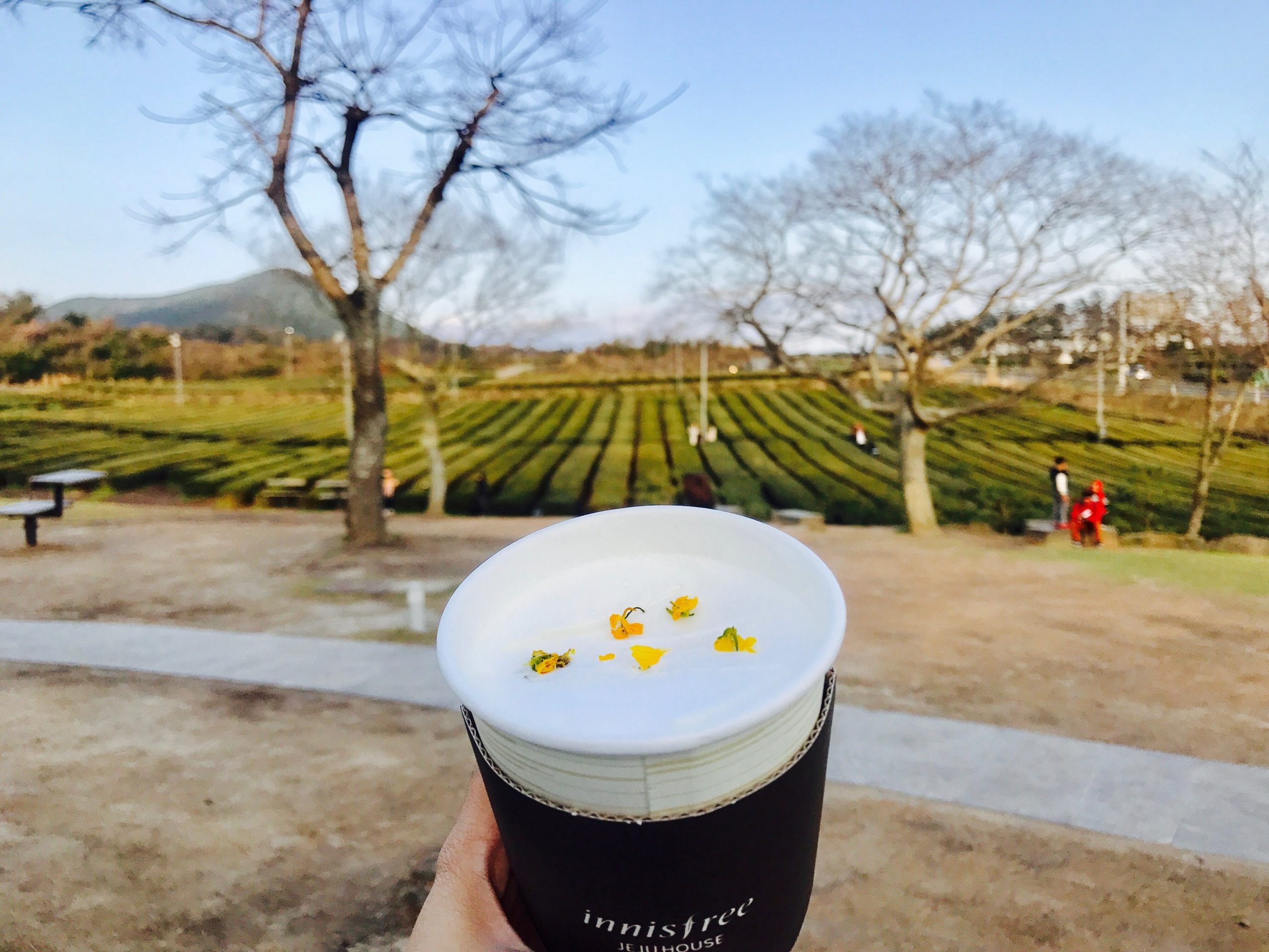 tempat menarik di jeju