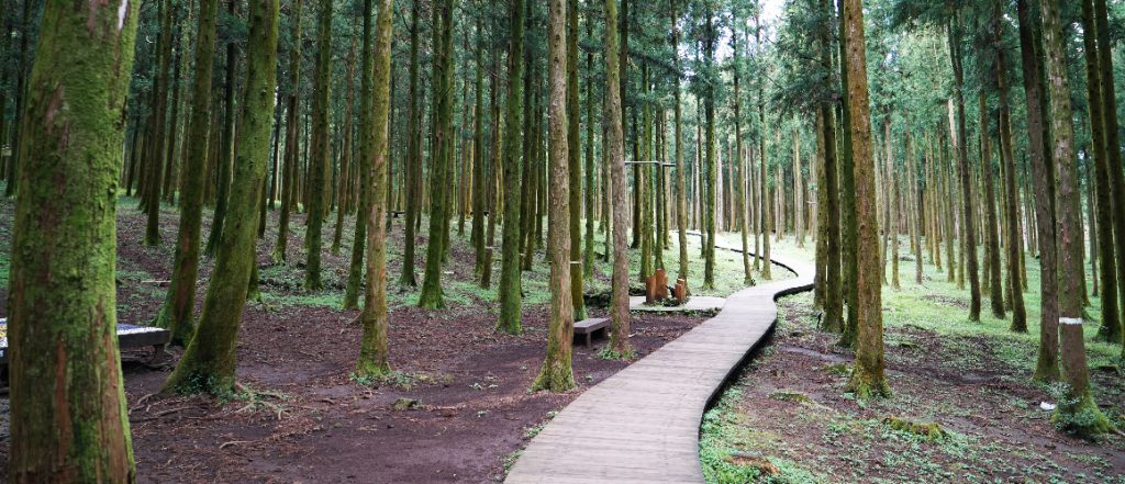 tempat menarik di jeju