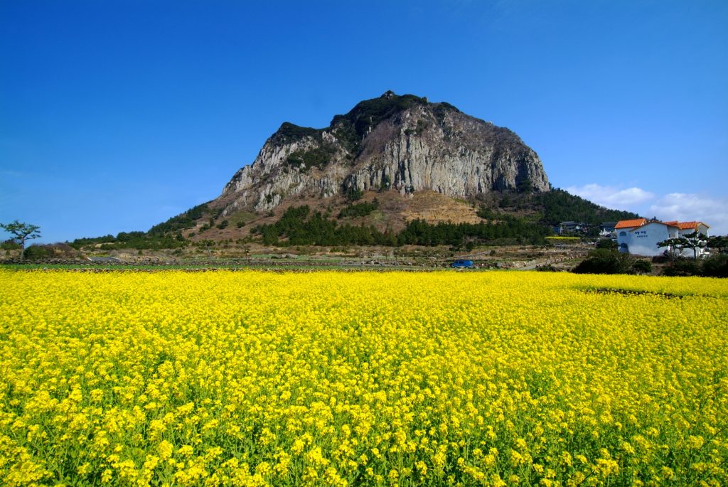 tempat menarik di jeju