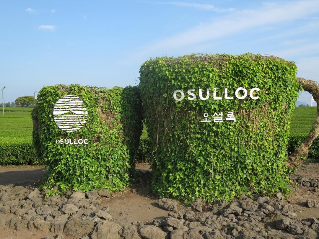 tempat menarik di jeju