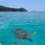 pakej pulau perhentian