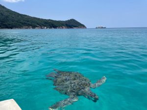 pakej pulau perhentian