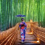 arashiyama bamboo forest jepun