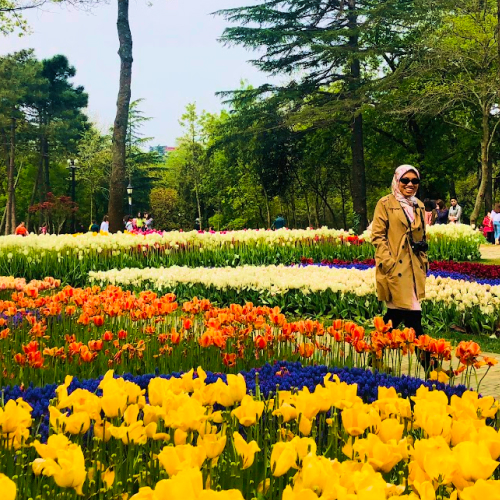 tulip festival di istanbul, turki