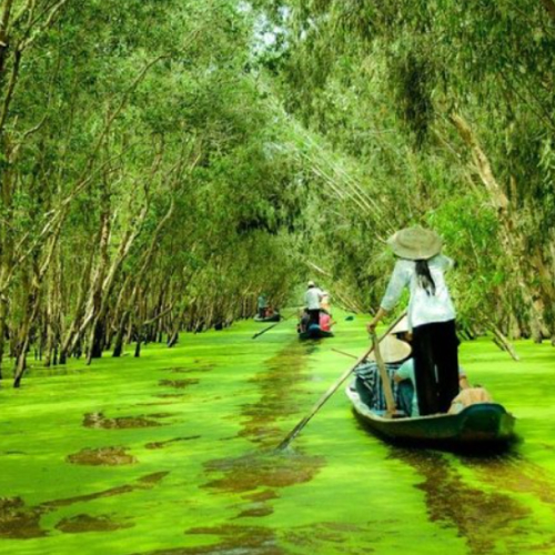 delta mekong, vietnam
