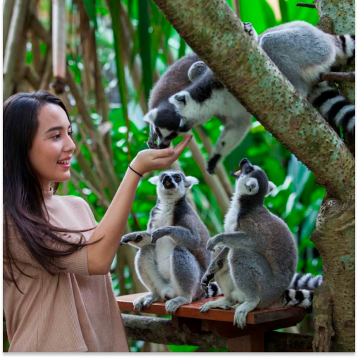 Zoo Bali