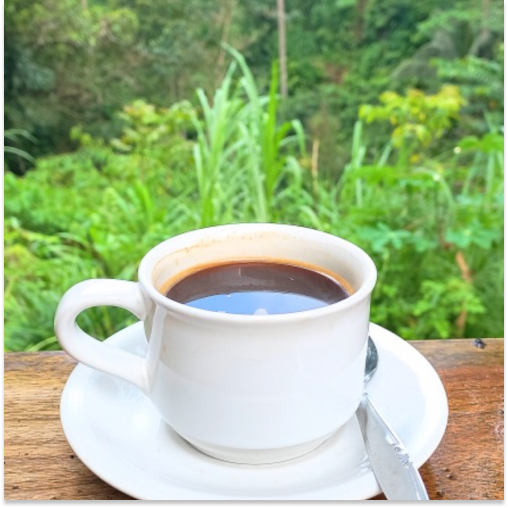 kopi luwak, ubud, bali