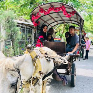 pakej dalat muine pakej vietnam