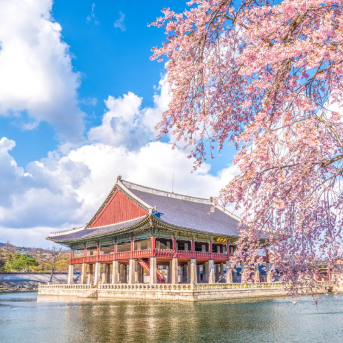 gyeongbok palace, seoul