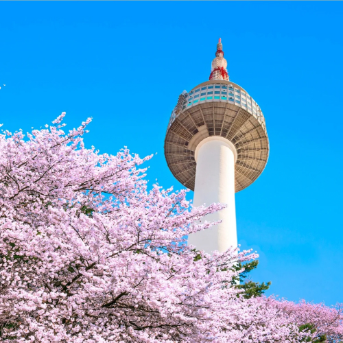namsan tower, seoul