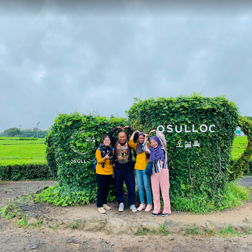 pakej jeju