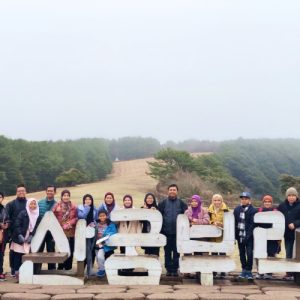 melancong ke jeju
