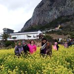melancong ke jeju