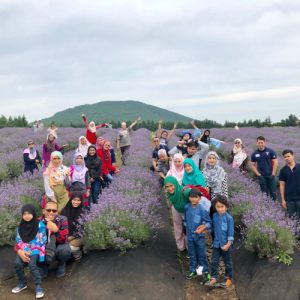melancong ke jeju