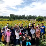 melancong ke jeju