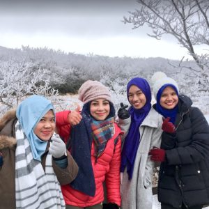 melancong ke jeju
