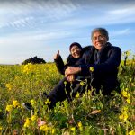 melancong ke jeju