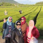 melancong ke jeju