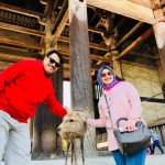 pakej osaka private tour