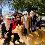 pakej osaka private tour