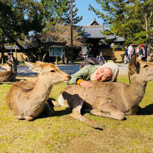 Nara Deer National Park
