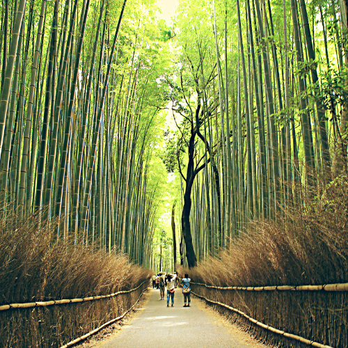 Arashiyama, Kyoto