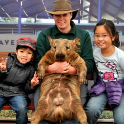 caversham wildlife park, perth