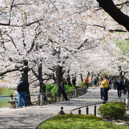ueno park, tokyo jepun
