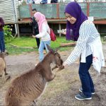 pakej melbourne