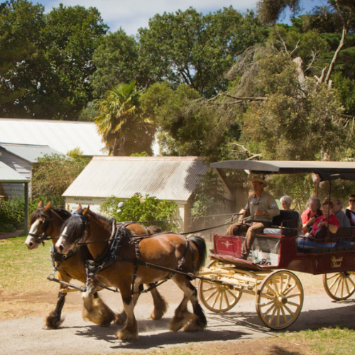 churchill heritage farm, melbourne