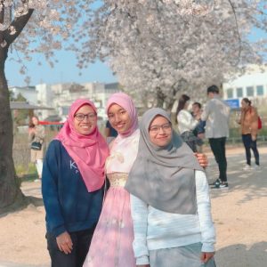 pakej korea melancong ke seoul