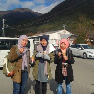 melancong ke tokyo private