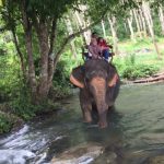 pakej krabi thailand