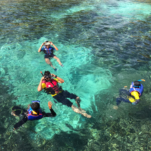 snorkeling di krabi, thailand
