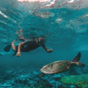 snorkeling di maldives