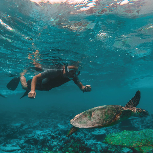 snorkeling di maldives