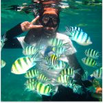 pulau perhentian, terengganu