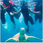 pulau perhentian, terengganu