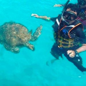 pakej pulau redang