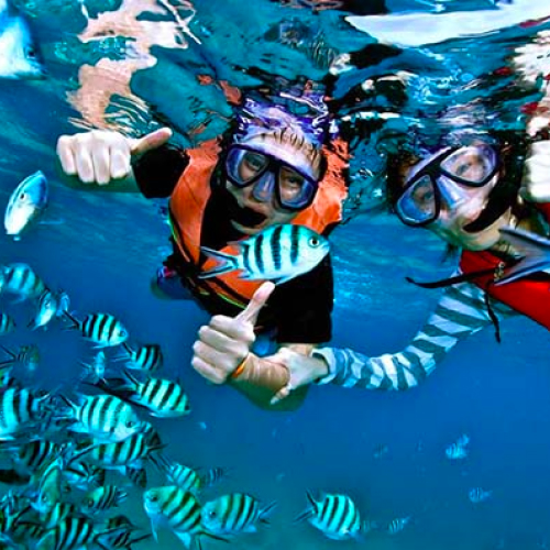 snorkeling di pulau redang, terengganu