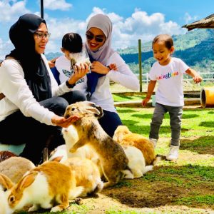 desa dairy farm, kota kinabalu, sabah