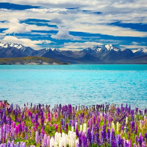 Lake Tekapo, New Zealand