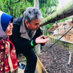 trip ke new zealand