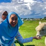 trip ke new zealand