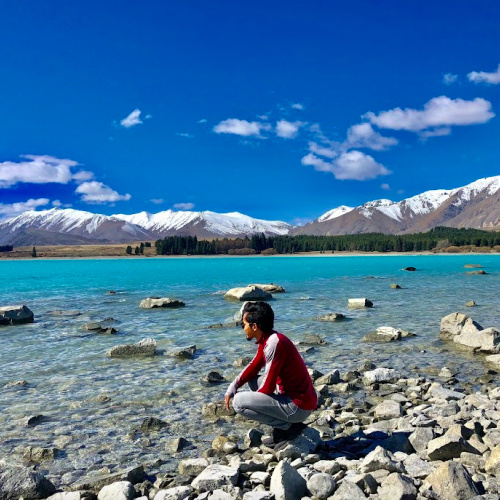 sightseeing di new zealand
