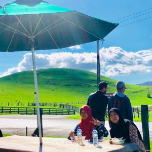 trip ke new zealand